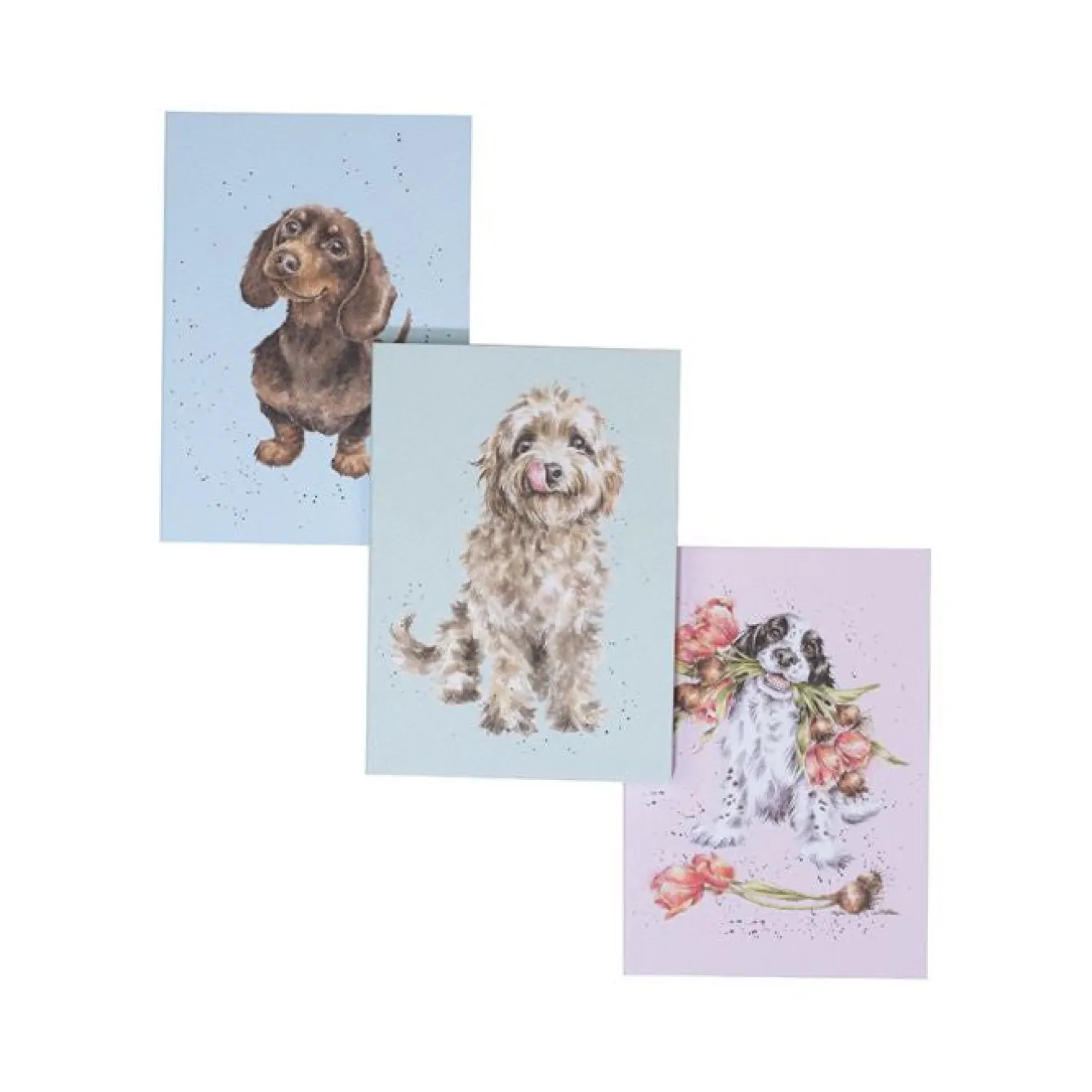 Wrendale Designs A Dog's Life - Set of 3 Notebooks- Stationery|Pets