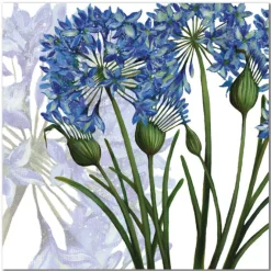 Emma Ball Agapanthus Greetings Card- Greeting Cards