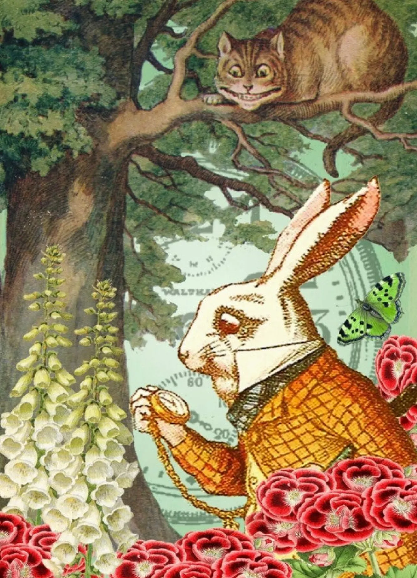 Madame Treacle Alice In Wonderland - The Cheshire Cat Greetings Card- Greeting Cards