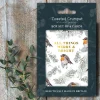 Toasted Crumpet All Things Merry & Bright Set of 6 Boxed Mini Christmas Cards- Christmas Cards|Christmas
