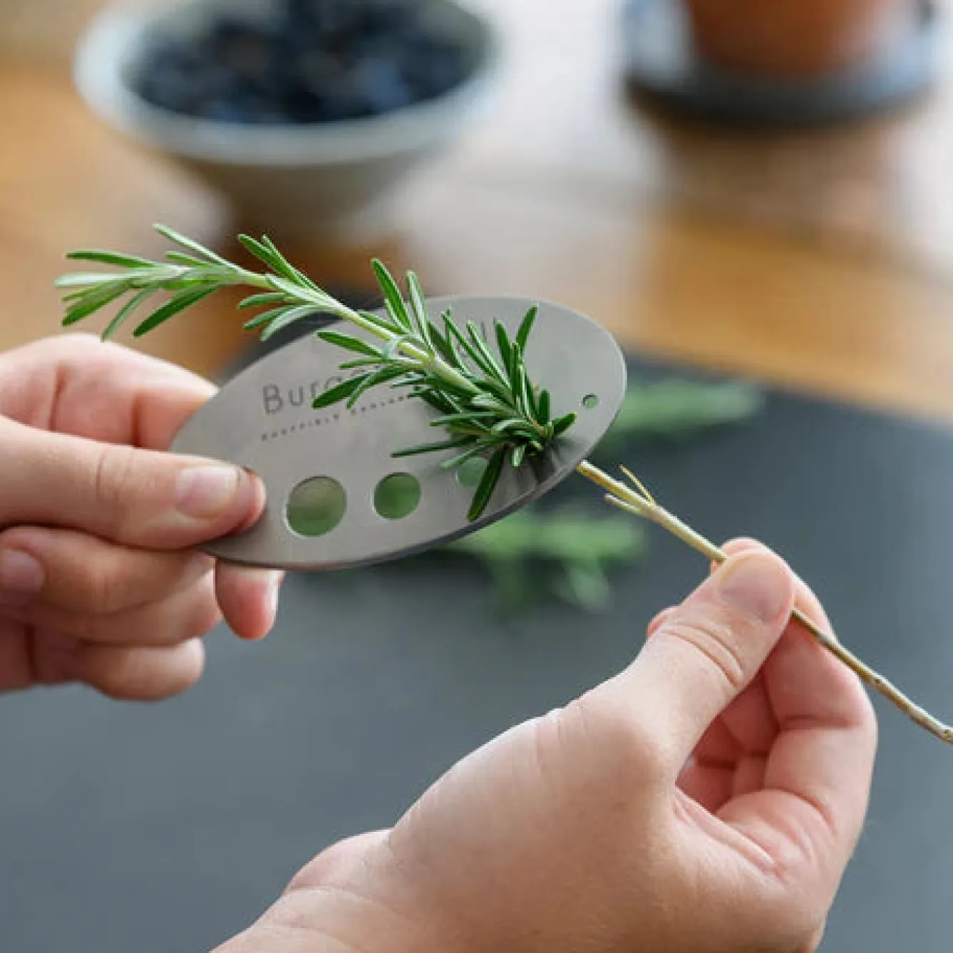 Burgon & Ball Asteraceae Herb Set- Gardening