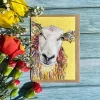 Jen Winnett Baa-Bara Sheep Eco-card- Christmas Cards|Greeting Cards
