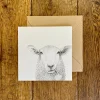 Katherine Sheard Designs Baaley Greetings Card- Greeting Cards