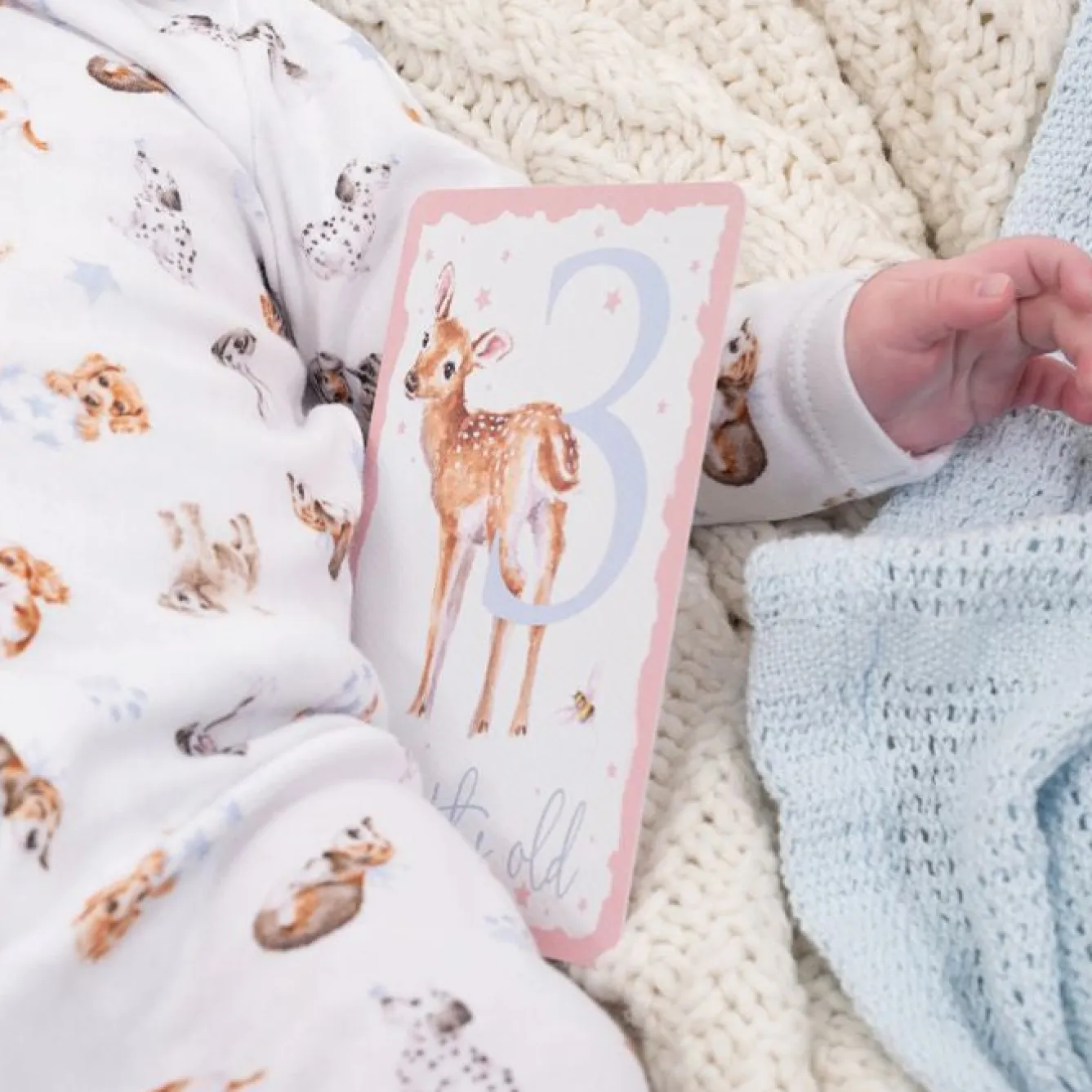 Wrendale Designs Baby Animals Milestone Cards- Children