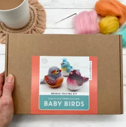 Bergin & Bath Baby Birds Needle Felting Kit- Crafts