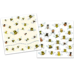 Emma Ball Beautiful Bees pack of 10 Mini Notecards- Stationery|Greeting Cards