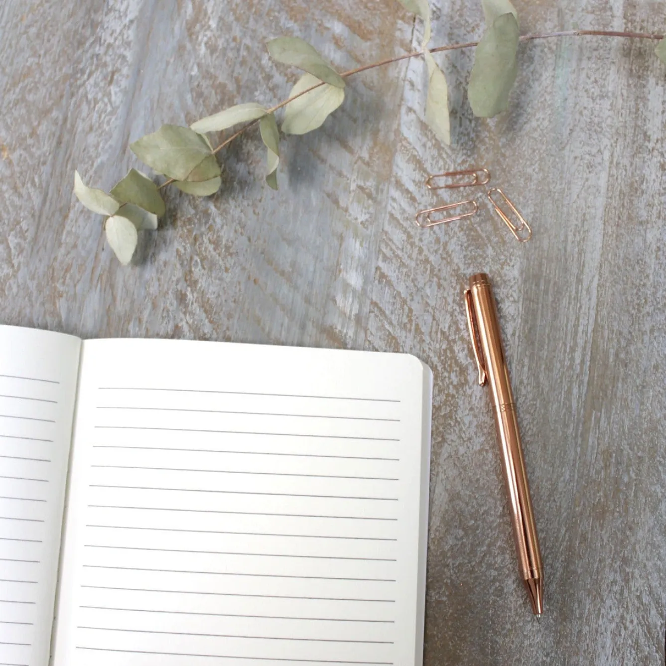 Toasted Crumpet Bees & Honeysuckle A5 Lined Notebook- Stationery