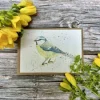 Jen Winnett Betty the Bluetit Blank Eco-Card- Greeting Cards