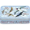 Emma Bridgewater Bird Families Small Rectangular Tin- Storage
