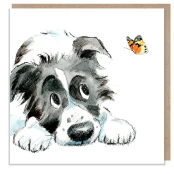 Paper Shed Design Black and White Collie with Butterfly Greetings Card- Greeting Cards