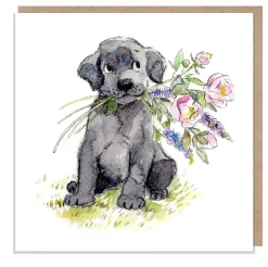 Paper Shed Design Black Labrador with Flowers Greetings Card- Greeting Cards
