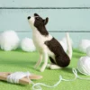 Hawthorn Handmade Border Collie Needle Felting Kit- Crafts