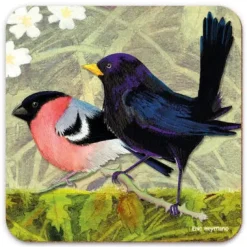 Emma Ball British Birds 3  Coaster- Tea|Coasters