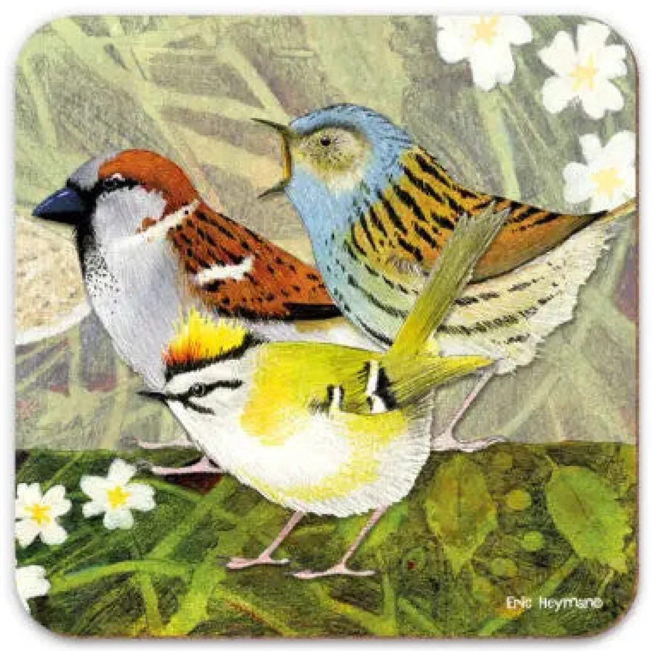 Emma Ball British Birds 4 Coaster- Tea|Coasters