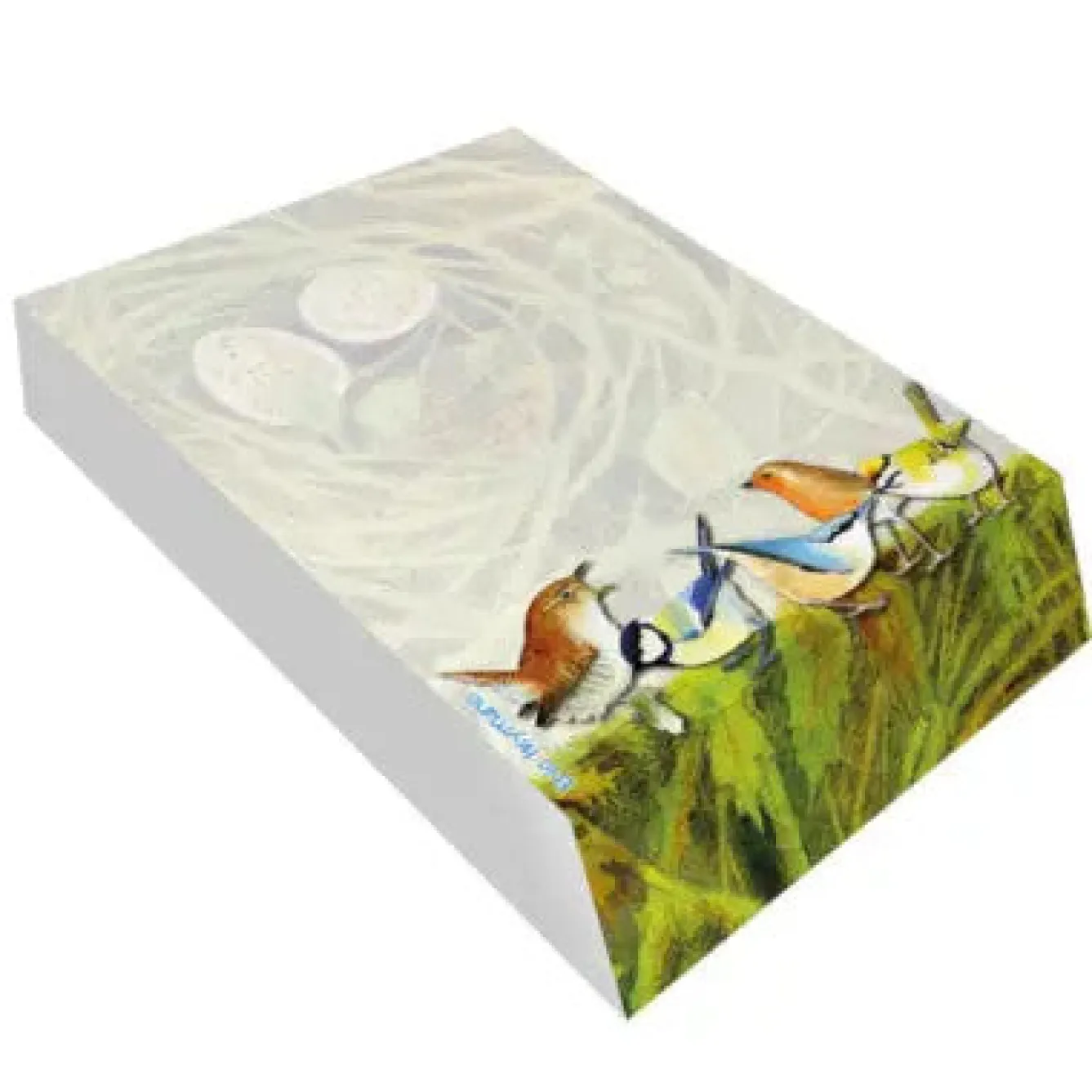 Emma Ball British Birds Slant Pad- Stationery