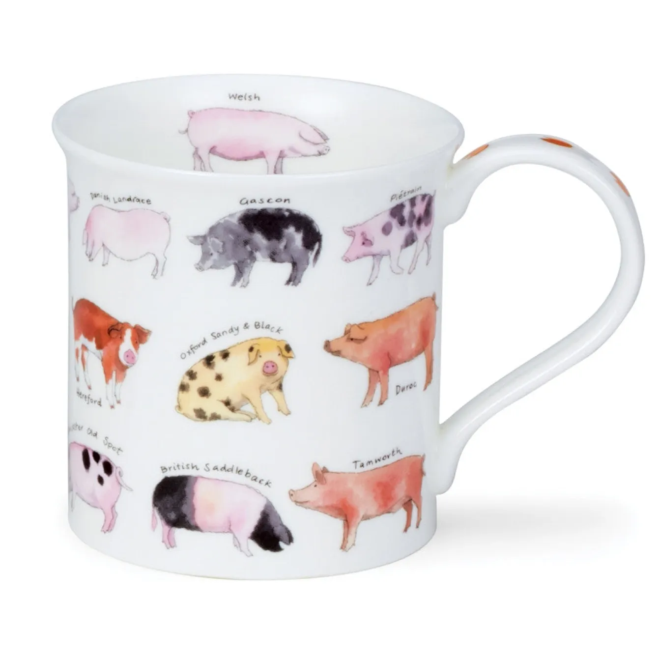 Dunoon Bute Animal Breeds Mug- Animals|Animals