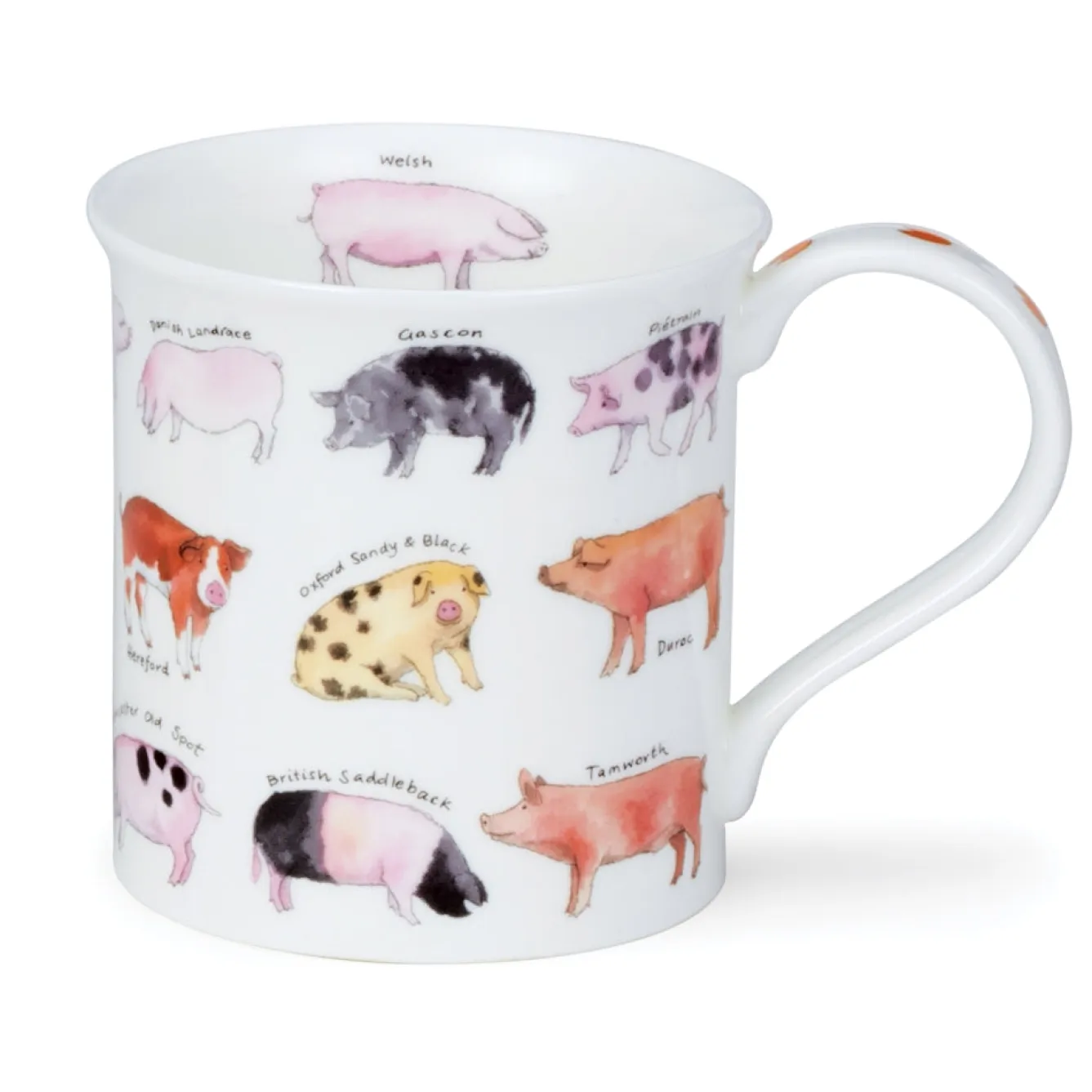 Dunoon Bute Animal Breeds Mug- Animals|Animals