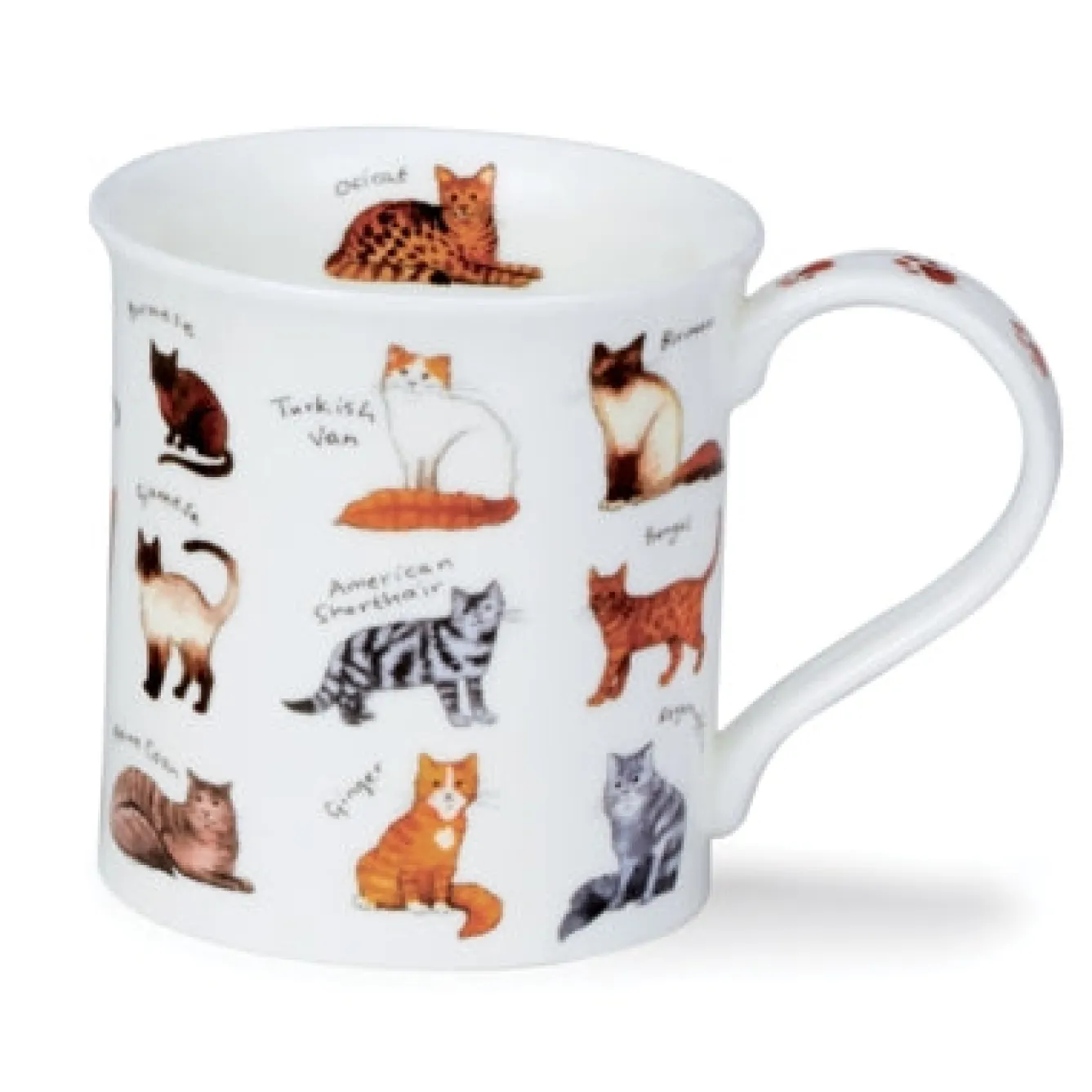 Dunoon Bute Animal Breeds Mug- Animals|Animals