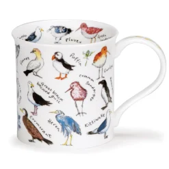 Dunoon Bute Birdlife Coastal Birds- Animals|Animals