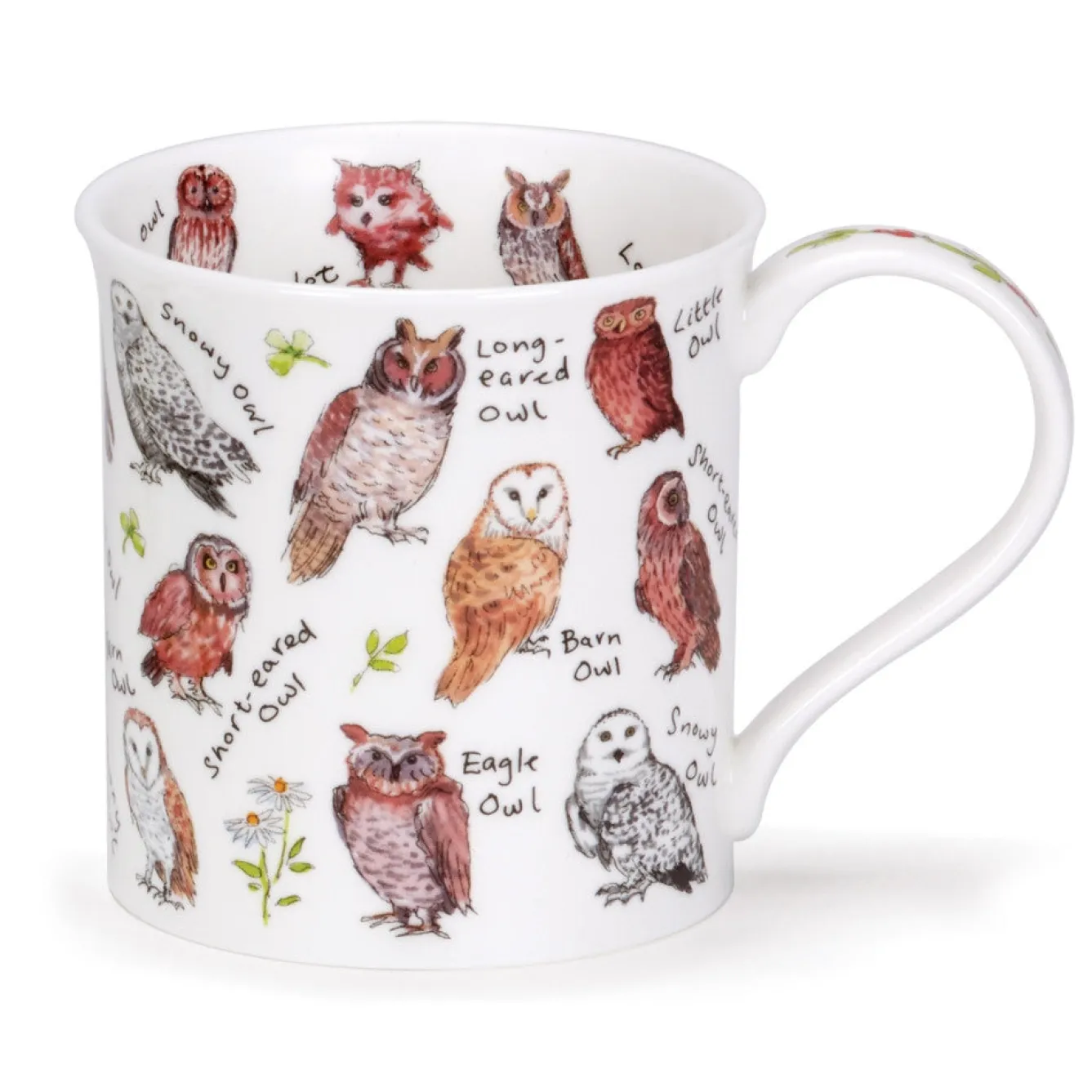 Dunoon Bute Birdlife Owls Mug- Animals|Animals