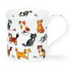 Dunoon Bute Cute Kittens Mug- Animals|Pets