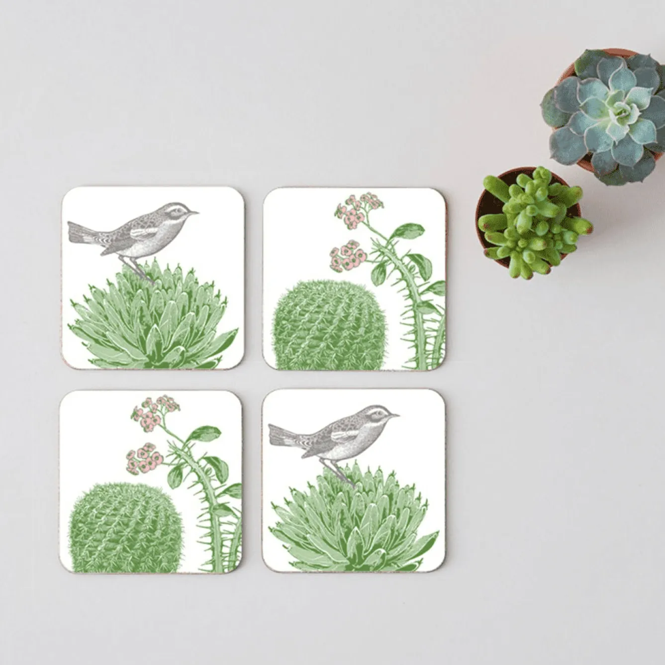 Thornback & Peel Cactus & Bird Set of 4 Coasters- Melamine|Coasters