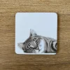 Katherine Sheard Designs Carter Cat Coaster- Coasters
