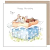 Paper Shed Design Cat in a Box "Happy Birthday" Greetings Card- Greeting Cards