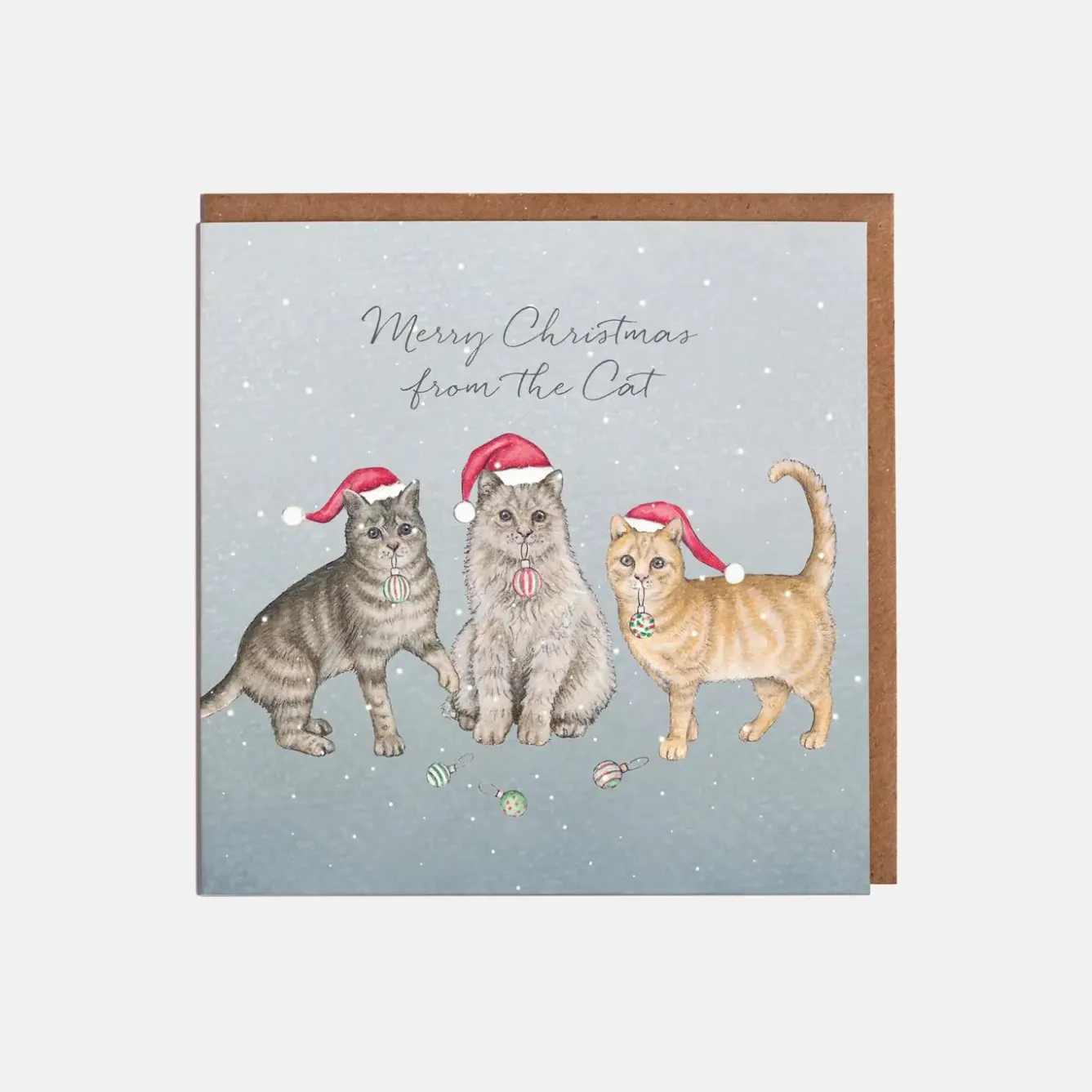 Lottie Murphy Cats in Hats Christmas Card- Christmas Cards|Christmas