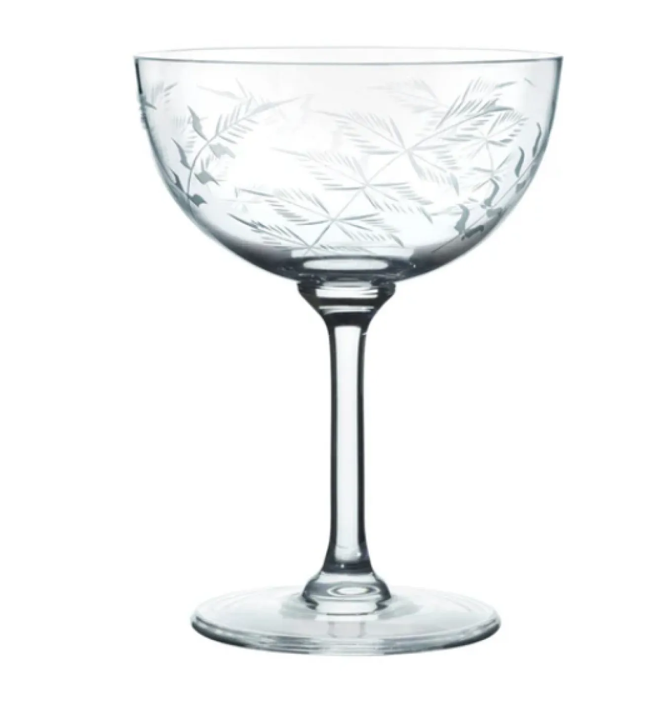 The Vintage List Champagne Saucer with Ferns Design by- Glassware