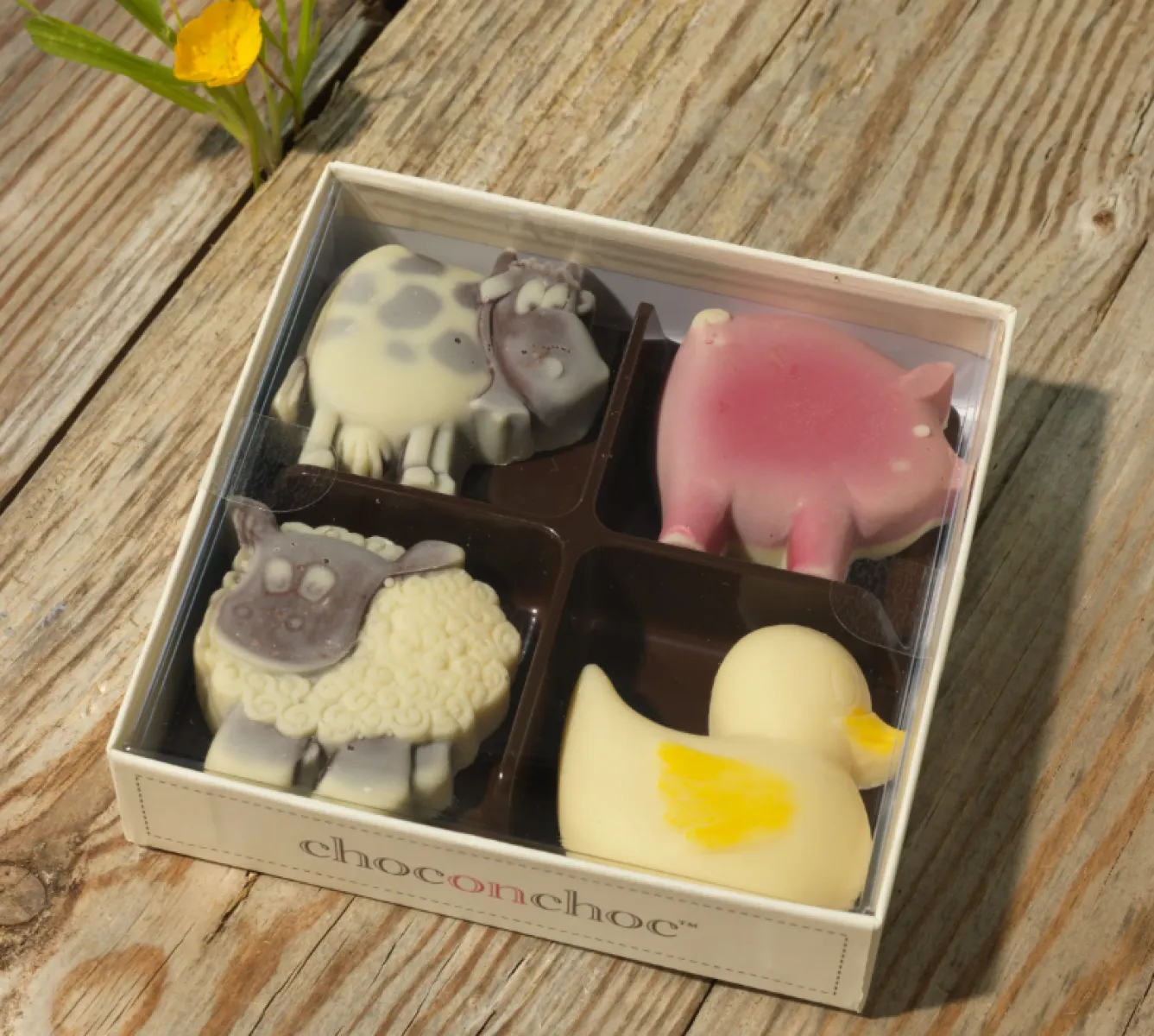 Choc on Choc Chocolate Animals Farmyard Selection Four Box- Tea|Chocolate