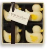 Choc on Choc Chocolate Ducks- Tea|Chocolate