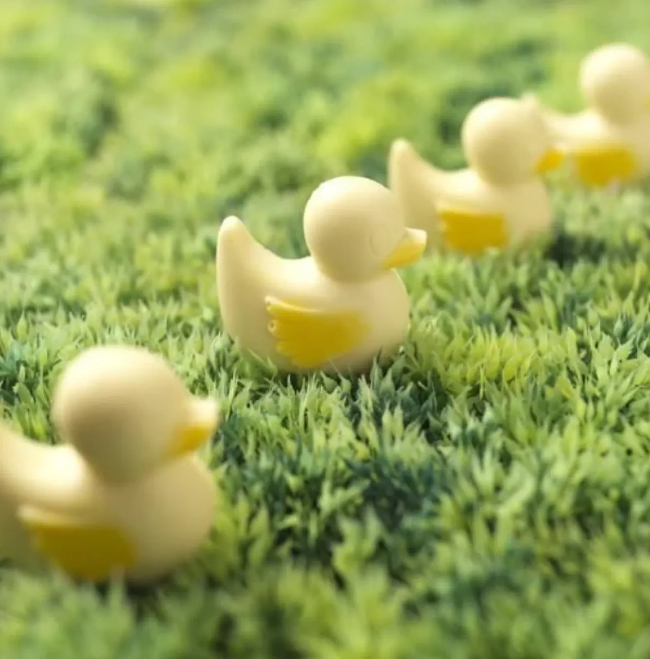 Choc on Choc Chocolate Ducks- Tea|Chocolate