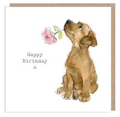 Paper Shed Design Chocolate Labrador with Pink Rose "Happy Birthday" Greetings Card- Greeting Cards