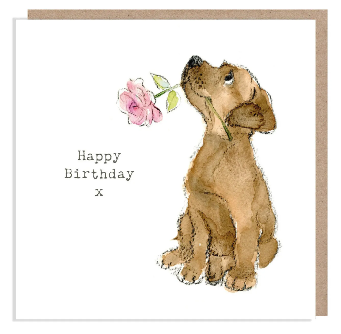 Paper Shed Design Chocolate Labrador with Pink Rose "Happy Birthday" Greetings Card- Greeting Cards