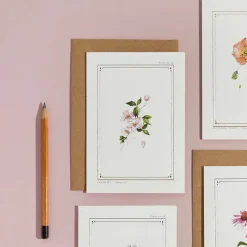 Catherine Lewis Clematis - 'Botanical Archive: Everyday Edition' - card- Greeting Cards