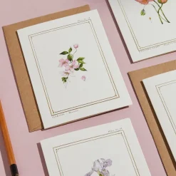 Catherine Lewis Clematis - 'Botanical Archive: Everyday Edition' - card- Greeting Cards