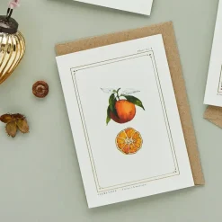 Catherine Lewis Clementine - 'Botanical Archive: Festive Edition' - card- Greeting Cards