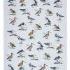 Ulster Weavers Coastal Birds Cotton Tea Towel- Tea|Tea Towels