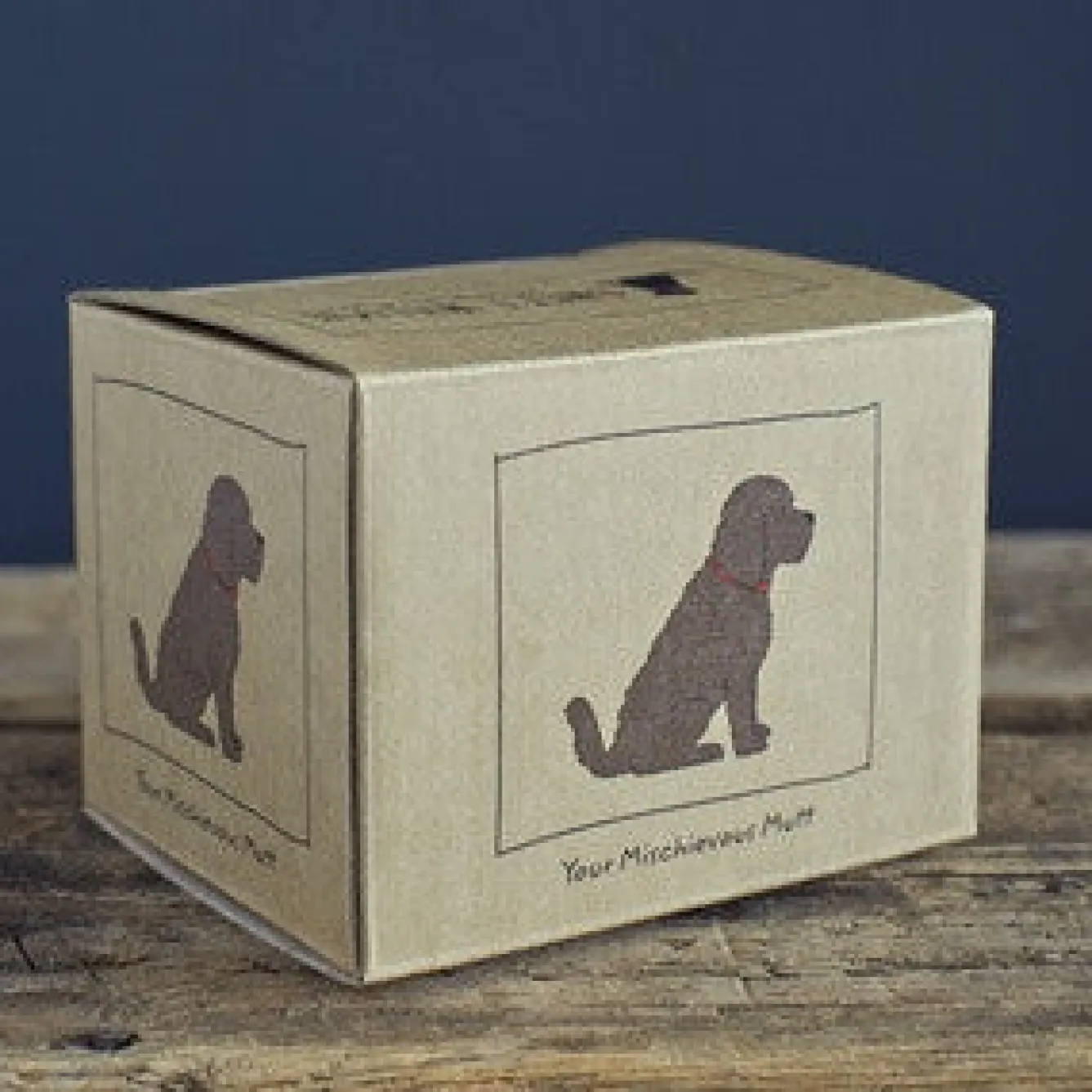 Sweet William Cockapoo Mug Boxed- Pets|Pets