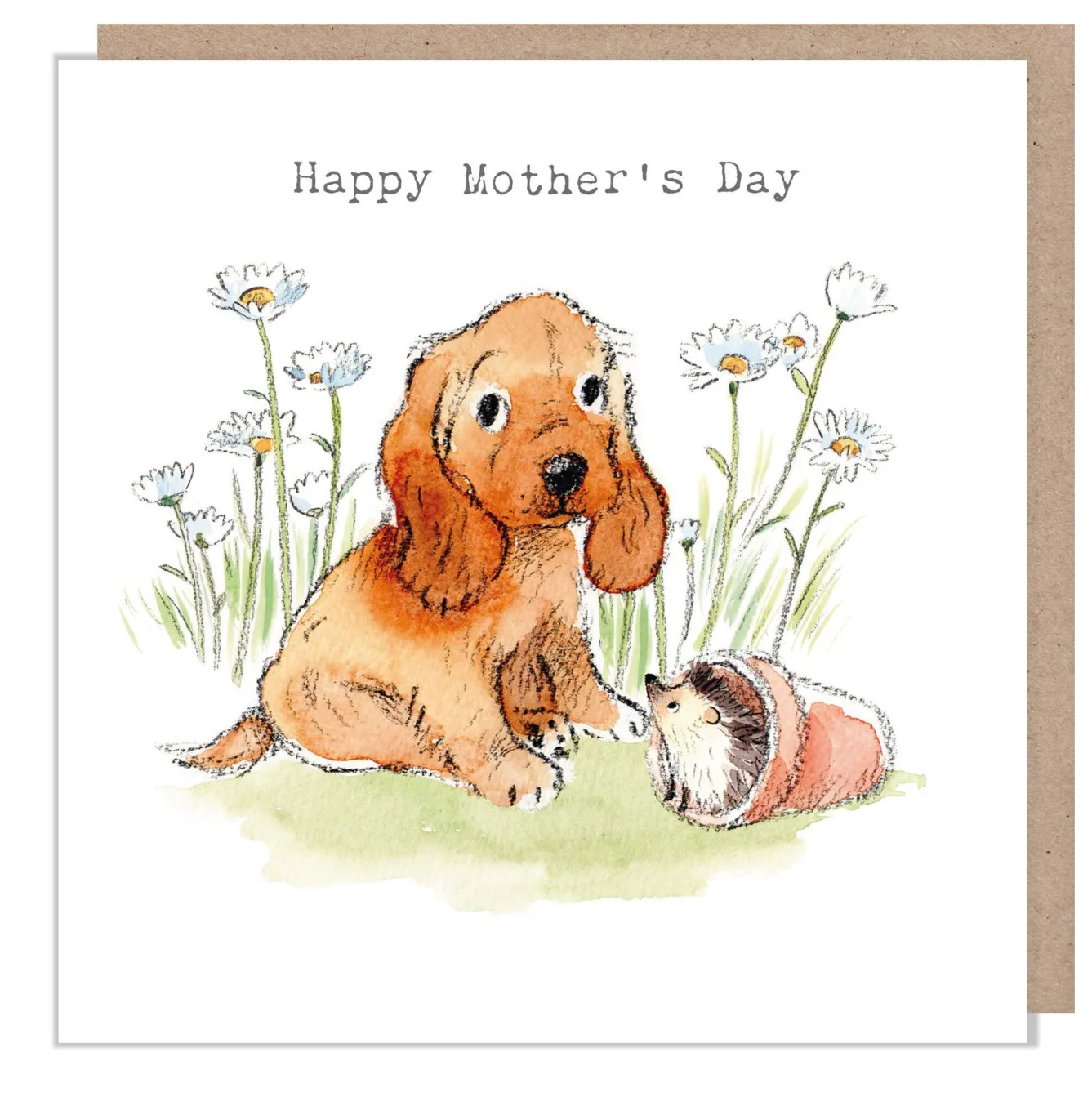 Paper Shed Design Cocker Spaniel & Hedgehog Mother's Day Card- Mother's Day|Mother's Day