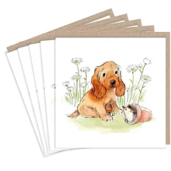 Paper Shed Design Cocker Spaniel Sitting with Hedgehog Set of 5 Notecards- Greeting Cards