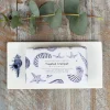 Toasted Crumpet Conch China Rectangular Soap Dish- Soaps & Lotions