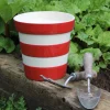 Cornishware Coronation Planter- Kitchenware|Gardening