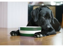 Cornishware Dog Bowl- Pets|Bowls & Dishes