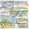 Emma Ball Cornwall Coaster- Tea|Coasters