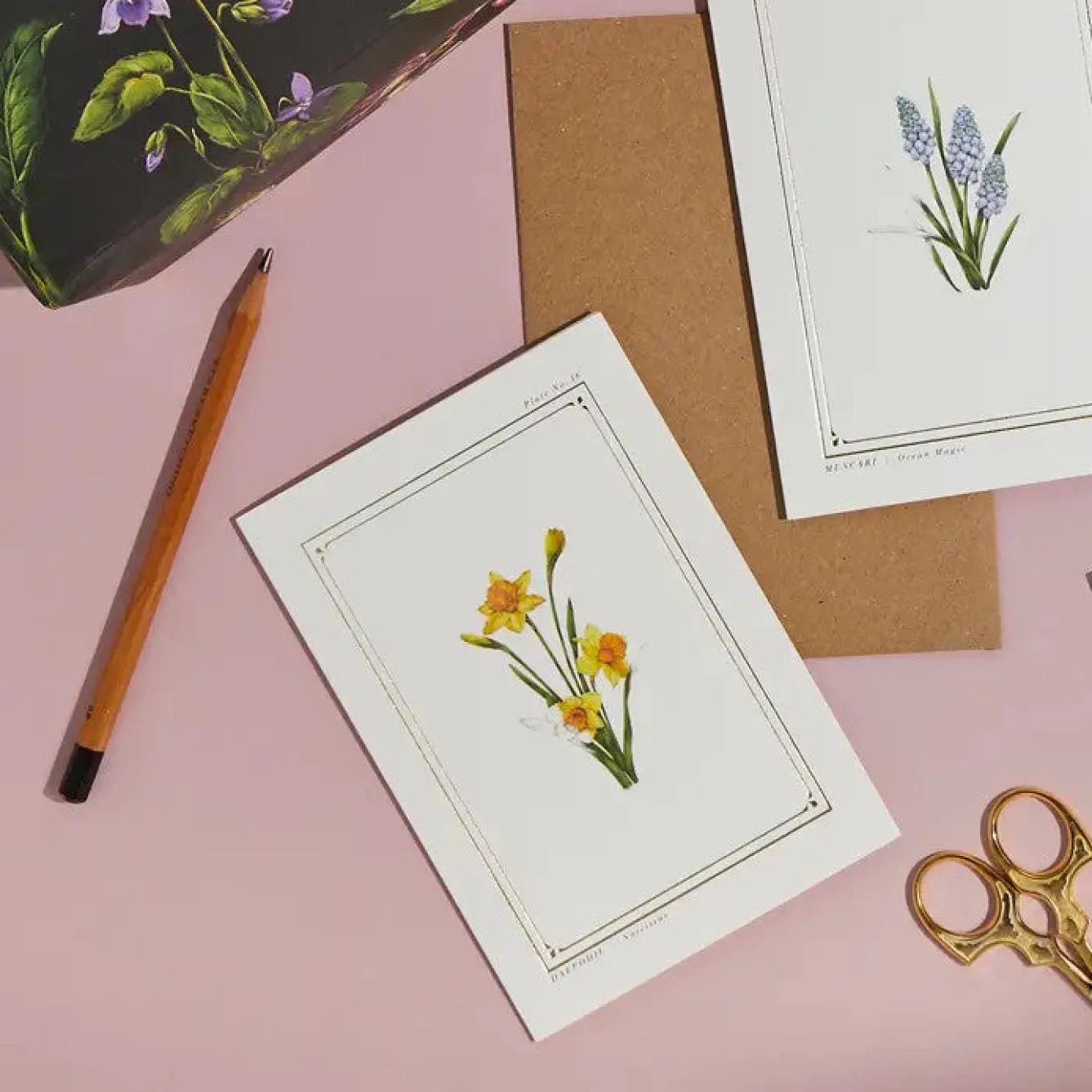 Catherine Lewis Daffodil- 'Botanical Archive: Everyday Edition' - card- Greeting Cards