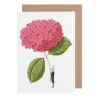 Laura Stoddart Dark Pink Hydrangea Blank Greetings Card- Greeting Cards