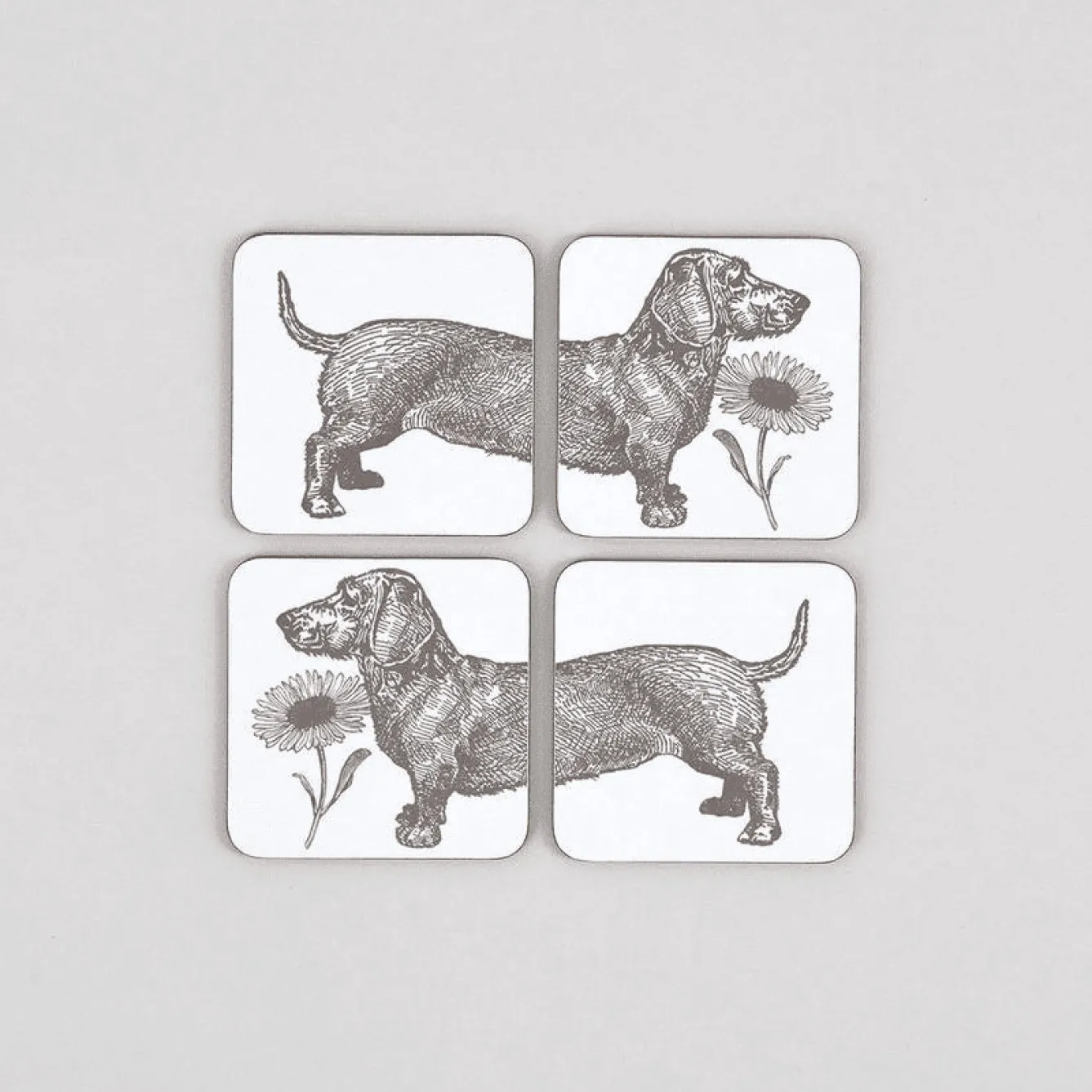 Thornback & Peel Dog and Daisy Set of 4 Coasters- Melamine|Coasters