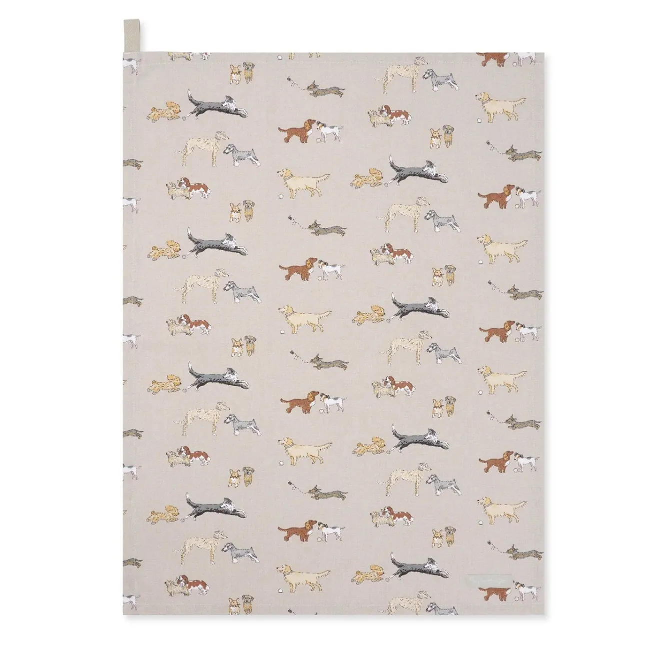 Sophie Allport Doggy Daycare Tea Towel- Tea|Tea Towels